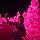 양수민 프로필