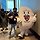 손상준 프로필