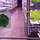 윤용규 프로필