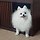 혜원 프로필