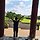 강옥자 프로필