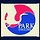 Park English 프로필