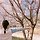 금별 프로필