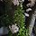 이희연 프로필