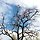 강성일 프로필