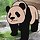 박세은 프로필