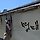 조인선마므레 프로필