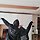 성재윤성기용 프로필
