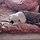 최영빈 프로필