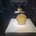 쭈야데이 프로필