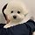 박성수 프로필