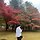 홍성령 프로필