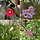 이보영 프로필