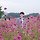 rlr 프로필