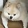 오준홍 프로필