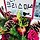 공혜란 프로필