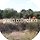 Anna Won 프로필