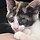 양해영 프로필
