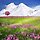 김상희 프로필
