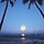 MPHCXHBCJ 프로필