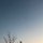 황토미 프로필