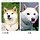 재용 프로필