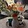 Priscilla 프로필