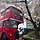 김효정 프로필