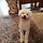 jiwoo 프로필