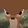 Bambi 프로필