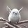 이정석 프로필