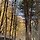 박현정 프로필