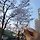 김보라 프로필