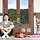 김예찬 프로필