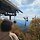 허니정주영 프로필