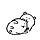 강다연 프로필