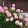 이숙희 프로필