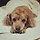 Jin Kim 프로필