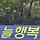 김예지 프로필