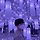 고성현 프로필