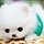Andy 프로필