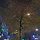 오미희 프로필