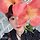 pinklotus 프로필