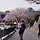 제주조아 프로필