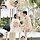 정광용 프로필