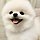 영히ㄱㅅㅇㅅㅎㄴㄴㅂ 프로필
