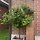 송현주 프로필