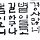 young 프로필