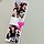 이서영 프로필