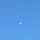 황금고래맘 프로필